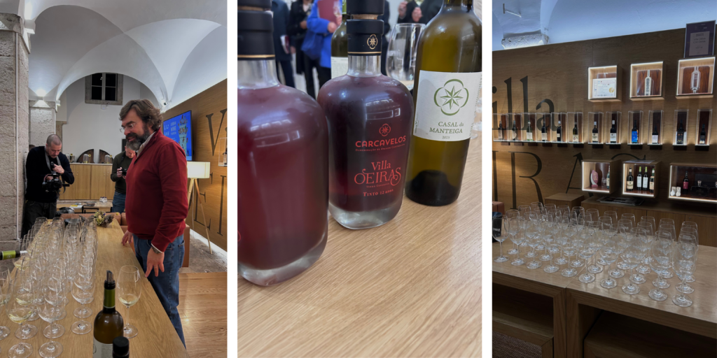 Lisbon Wine Urban Tourism