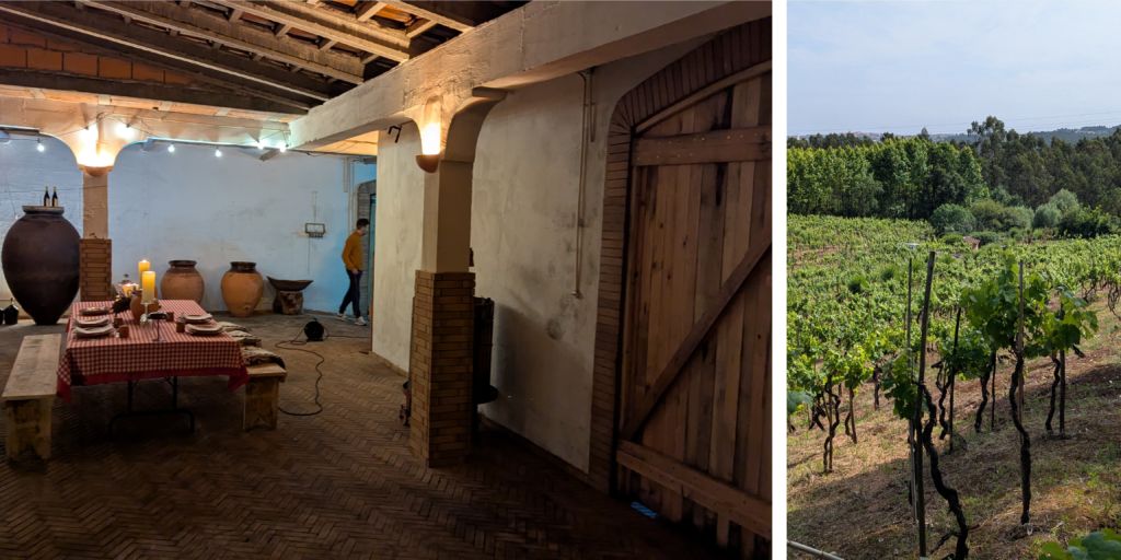 Malápio recupera el vino de talha