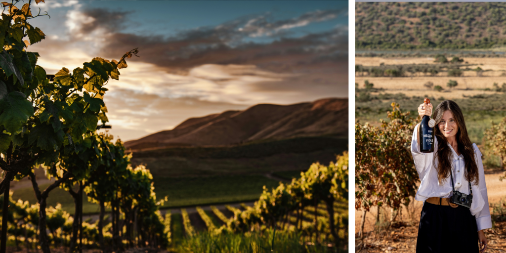 Experiencia de enoturismo en el Algarve con degustación de vinos y valorización del territorio