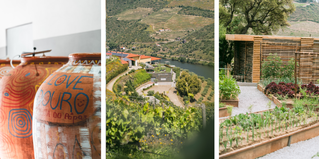 nterior de la bodega de Quinta do Pôpa en el valle del Douro, Portugal