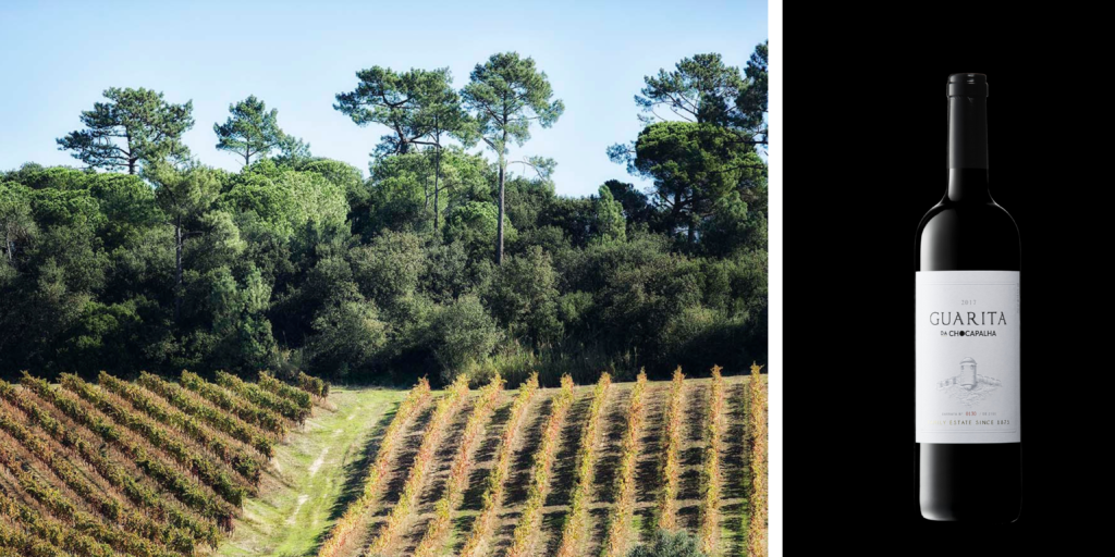 Botella del vino Guarita de Chocapalha 2017 de la Quinta de Chocapalha, elaborado en la región de LisboaViñedos de la Quinta de Chocapalha en Alenquer, en la región vinícola de Lisboa