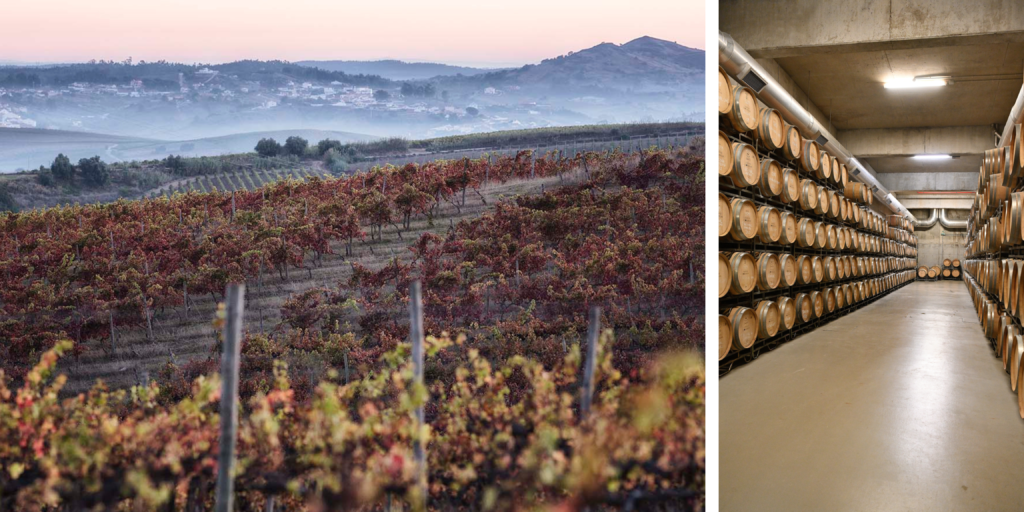 Barricas de roble en la bodega de la Quinta de Chocapalha en la región de LisboaPaisaje de viñedos en la Quinta de Chocapalha, en Alenquer