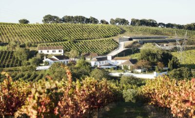 Quinta de Chocapalha rodeada de viñedos en Alenquer, en la región vinícola de Lisboa
