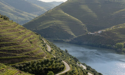 Valle del Douro con viñedos en terrazas junto al río, región histórica del vino de Oporto en Portugal
