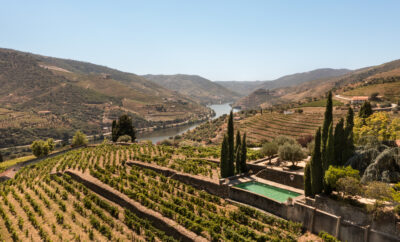 Quinta Nova Reserva Vinha Centenária P28/P21 2021 ha sido reconocido con 96 puntos y Medalla de Oro