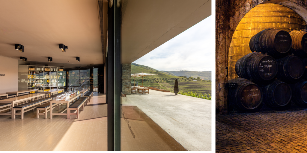  Viñedos del Douro en una ruta de enoturismo dedicada al vino de Oporto