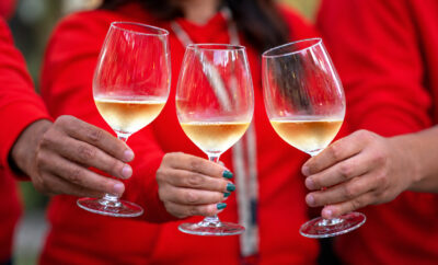 Wine Affair Cascais en los jardines de Quinta da Marinha, en Cascais.