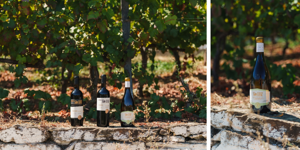 Viñedos de Quinta da Boavista y São Luiz en el Douro
