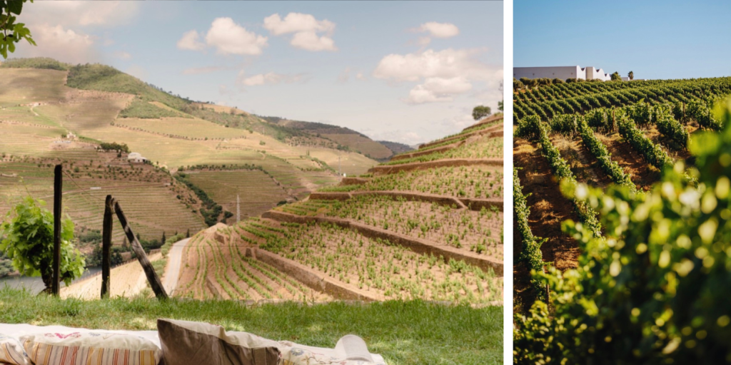 Los vinos portugueses, protagonistas en el Mundial de Sommeliers de Lisboa.