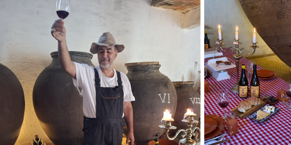 Adega Centenária Malápio, en la Bairrada portuguesa, donde la tradición vinícola y la sostenibilidad se encuentran.