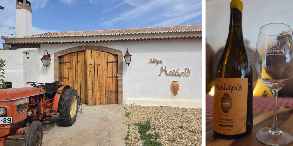 Adega Centenária Malápio, en la Bairrada portuguesa, donde la tradición vinícola y la sostenibilidad se encuentran.