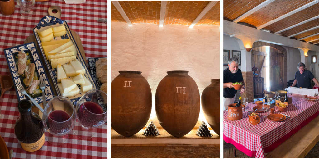 Adega Centenária Malápio, en la Bairrada portuguesa, donde la tradición vinícola y la sostenibilidad se encuentran.