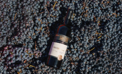 Viñedos de Quinta da Boavista y São Luiz en el Douro