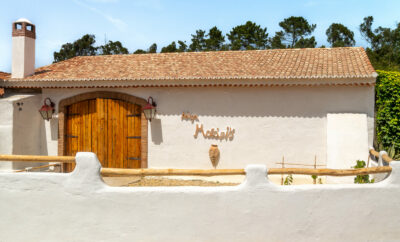 Adega Centenária Malápio, en la Bairrada portuguesa, donde la tradición vinícola y la sostenibilidad se encuentran.