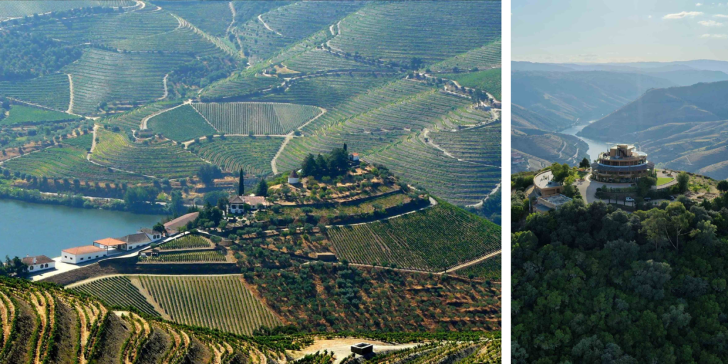 ouro Icons by Pipadouro reúne Quinta do Crasto y Quinta das Carvalhas en una experiencia de enoturismo por el Duero.